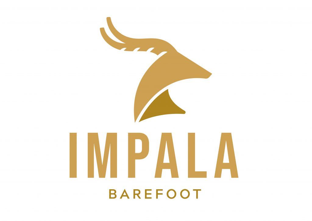 Logo de Impala Barefoot sobre fondo blanco